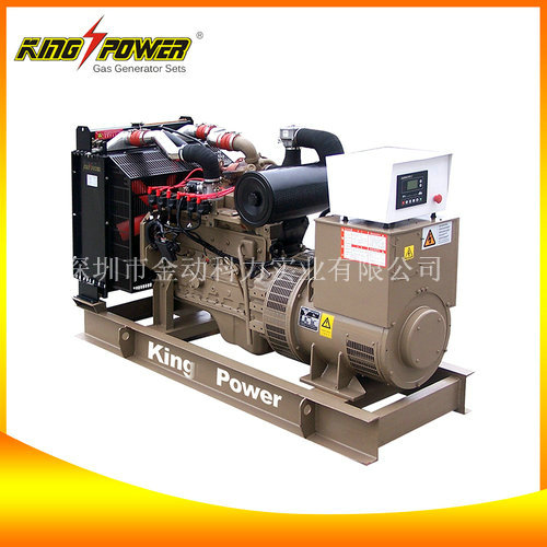 【沼氣發(fā)電機廠家】讓污染成為能源的一種!