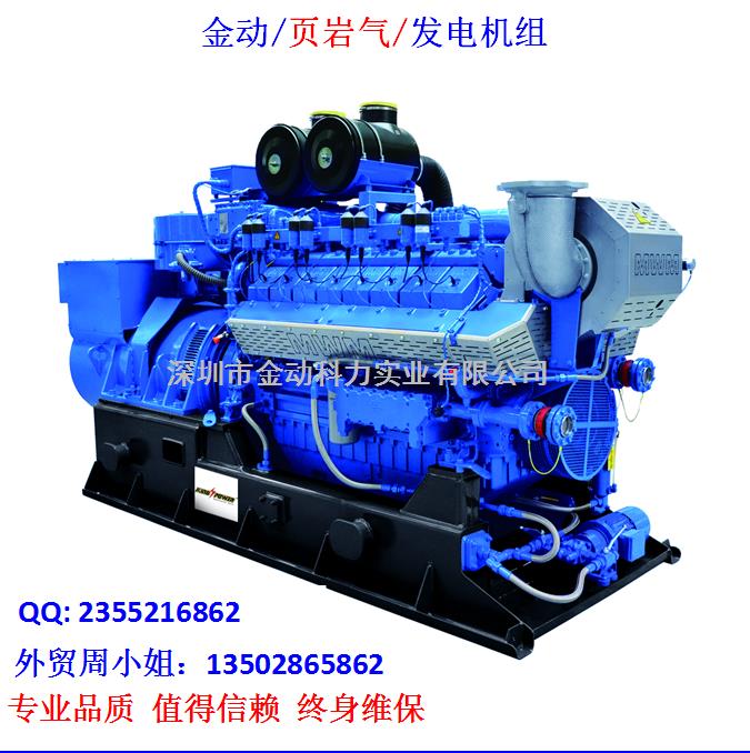 【深圳頁巖氣發電機】 發展趨勢無懈可擋！