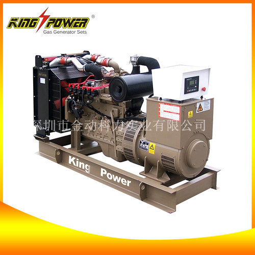 【頁巖氣發電機廠家】打造經濟效益！