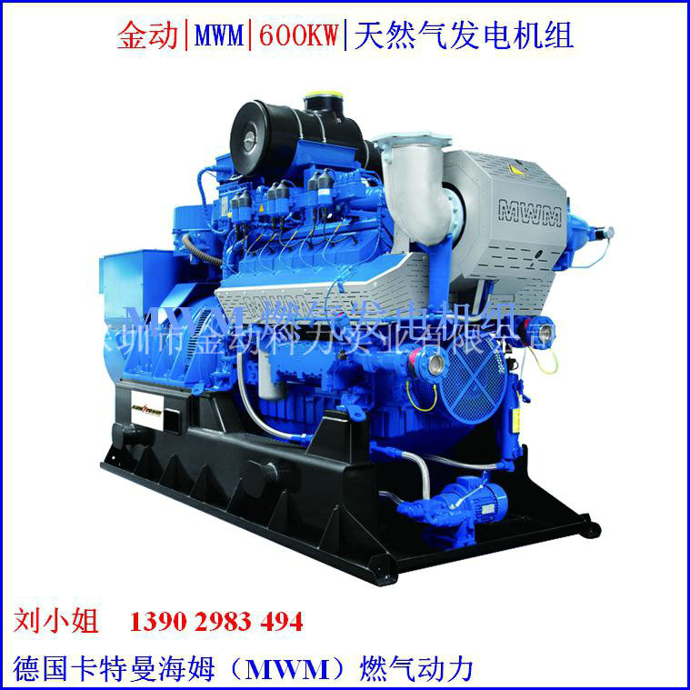 【供應(yīng)天然氣發(fā)電機】能源利用